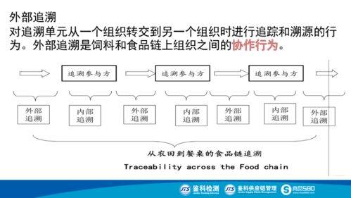食品生產(chǎn)追溯體系建設(shè) 企業(yè)管理的新基石與核心競(jìng)爭(zhēng)力